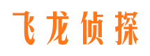 辛集侦探